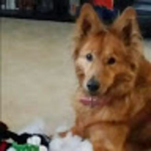 Meet your Posher, Kristen